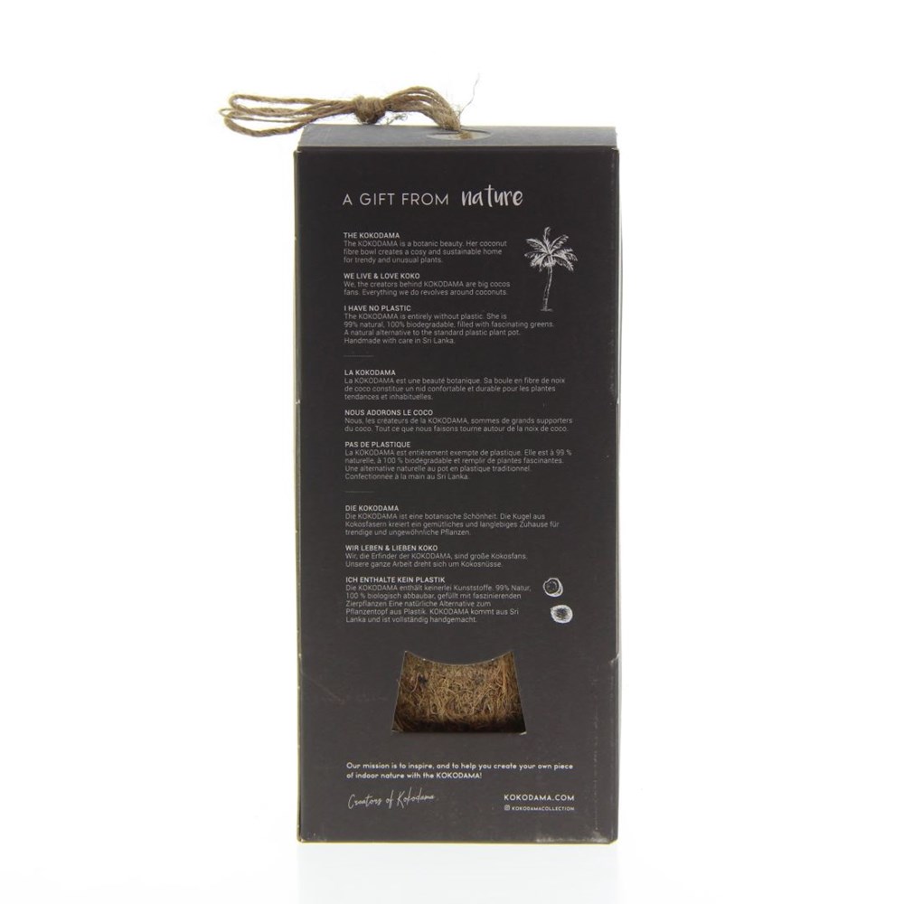 Kokodama® - Green mix (S), In giftbox