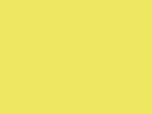 Children's Safety Vest Funtastic Wildlife - Moose Yellow