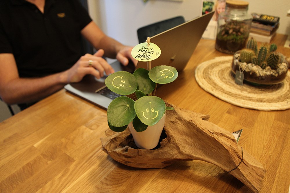 Smylieplant® Happy in keramieke pot (small), In giftbox