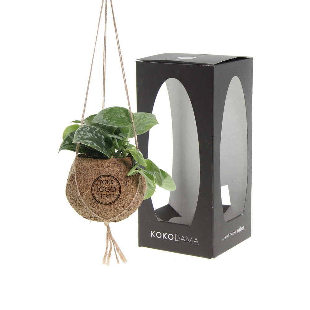 Kokodama® - Green mix (S), In giftbox